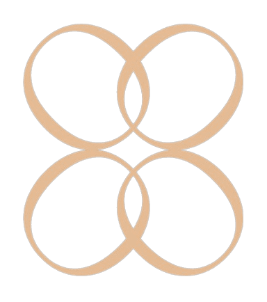 OBIOMAIRE Logo